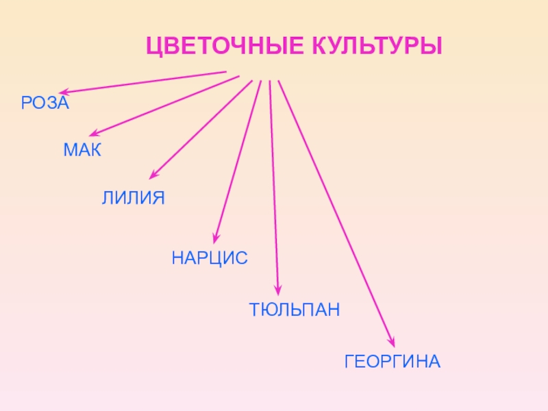 Проект цветоводство 4 класс окружающий мир