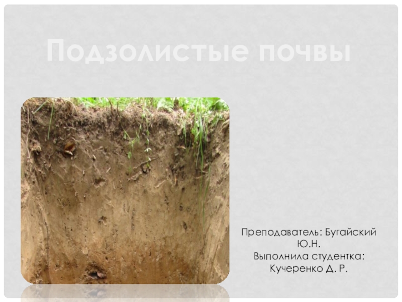 Презентация Презентация по естествознанию Подзолистые почвы