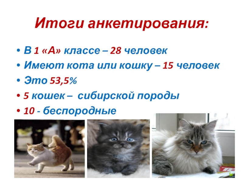 Итоги анкетирования:В 1 «А» классе – 28 человекИмеют кота или кошку – 15 человекЭто 53,5%5 кошек –