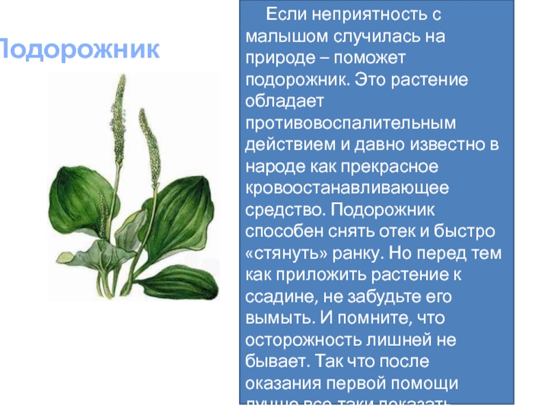 Личная гигиена и оказание первой помощи в природных условиях 6 класс обж презентация