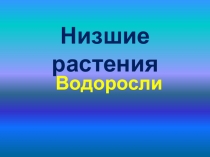 Презентация по биологии на тему Водоросли