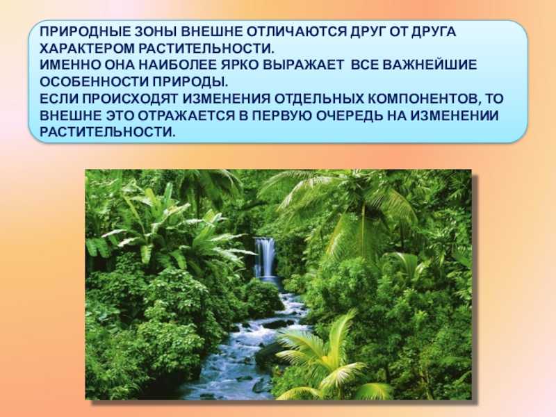 Отличие природного. Природные зоны внешне отличаются. Чем отличаются друг от друга природные зоны. Презентация по географии природные зоны. Презентация по географии на тему природные зоны.