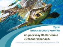 Презентация к уроку внеклассного чтения на тему: Уроки нравственности в рассказе Ю. Нагибина Старая черепаха (5 класс)