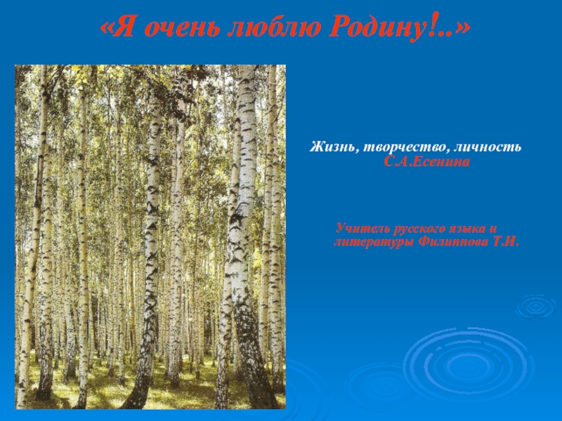 И березового ситца не заманит. В три звезды Березняк над прудом. Березняк над прудом. Страна березового ситца. В три звезды Березняк над прудом что означает.