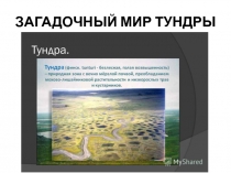 Урок Природные зоны России Загадочный мир тундры