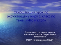Презентация по окружающему миру на тему Обобщение по теме Кто? и Что? (1 класс)