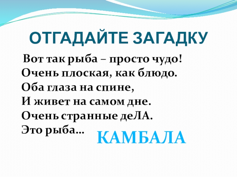 Угадай мир. Вот так рыба просто чудо. Конец загадки wit. # 263. Отгадай загадку без рук без топора не выйдешь рыбку из пруда. Алиса отгадай загадку моего работы в глубине на самом дне.