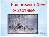 Презентация в подготовительной группе по познавательному развитию Как зимуют дикие животные
