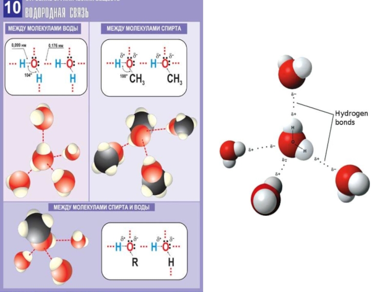 Водородная связь презентация 8 класс