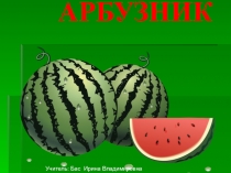 Внеклассное мероприятие Он зеленый и большой, Я полью его водой. Как огромный карапуз, Скоро вырастет …