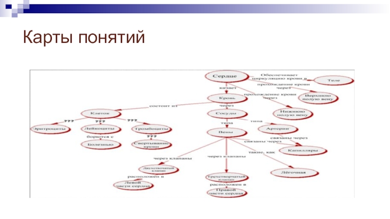 Карта понятий по биологии 8 класс