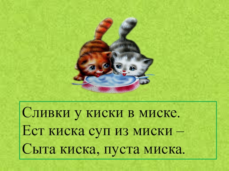 Ест киска суп из миски