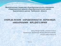 Определение зараженности зерновых амбарными вредителями
