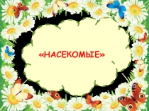 Презентация по лексической теме Насекомые