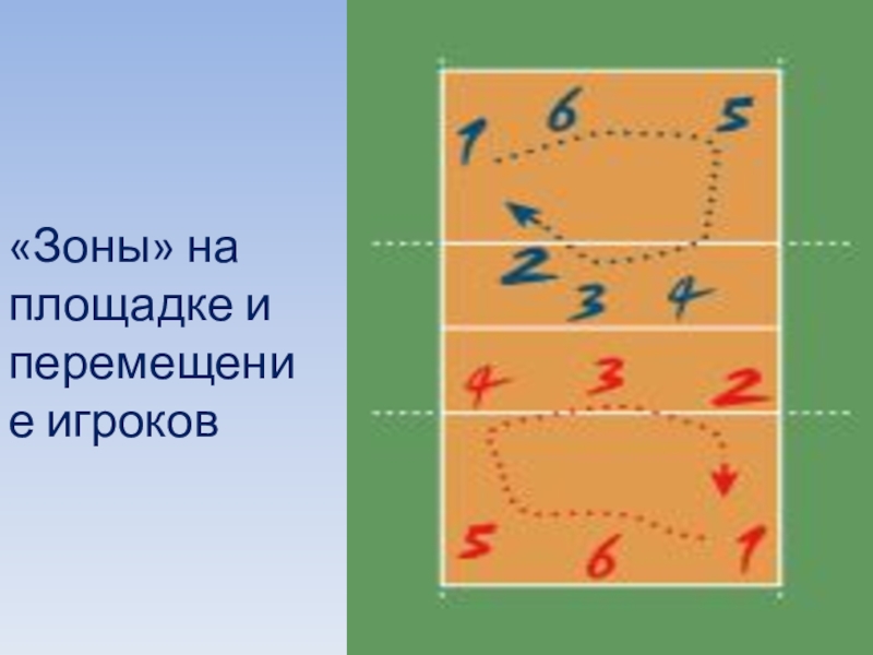 Зона перемещения. Зоны волейбольной площадки. Волейбольная площадка с зонами игроков. Зоны в волейболе. Зоны в волейболе на площадке.