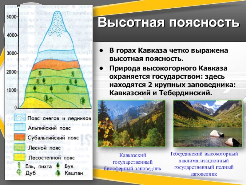 Природные зоны кавказа и урала