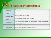 Презентация по биологии на тему: Черви
