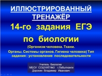 Презентация по биологии на тему: Иллюстрированный тренажёр для подготовки к 14-му заданию ЕГЭ по биологии (11 класс)