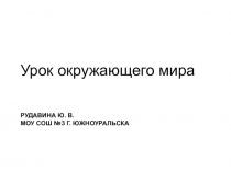 Презентация по окружающему миру на тему Первобытный мир (4 класс)