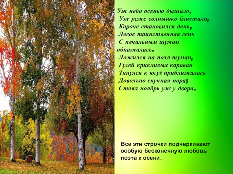 Солнышко блистало. Уж небо осенью дышало уж реже солнышко блистало. Уж реже солнышко блистало короче становился день. Лесов Таинственная сень с печальным шумом. Уж небо осенью дышало стих.