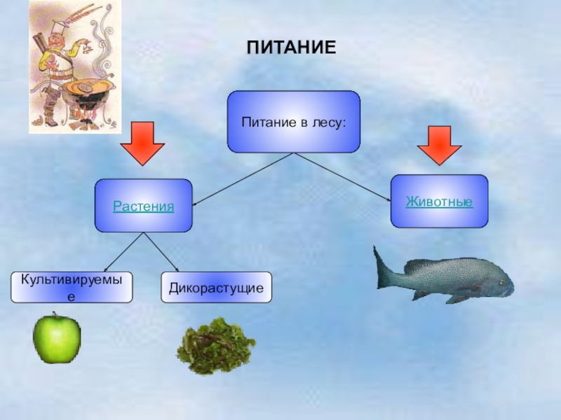 Связь растения животные. Добровольное автономное существование человека в природе.