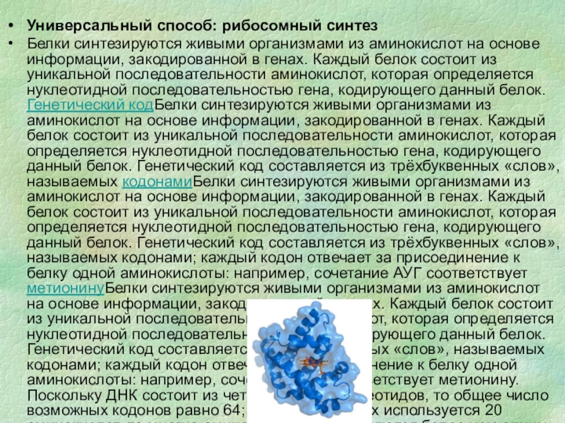 Презентация белки химия 11 класс