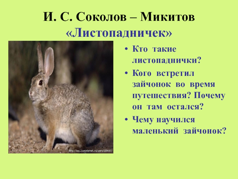 Листопадничек соколов микитов план 3 класс