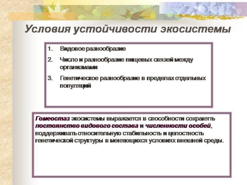 Условия состояния. Прияины цстойчиуости экосисг. Условия устойчивости экосистемы. Причины устойчивости экосистем. Условия устойчивости биогеоценоза.