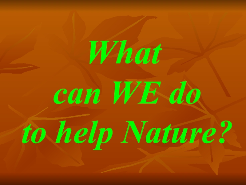 What  can WE do  to help Nature?