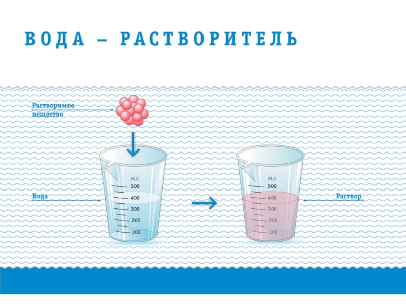 Тема жидкости. Ме + вода. Проект voda. No с водой. Побеги растворяют воду.