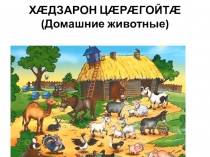 Презентация по родному языку на тему  Домашние животные