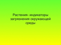 Презентация по окружающему миру Растения - индикаторы загрязнения окружающей среды