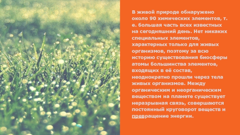 Обнаружить природу. Жалобы живой природы. В живой природе обнаружено около 90 химических элементов. Рубин роль в живой природе.