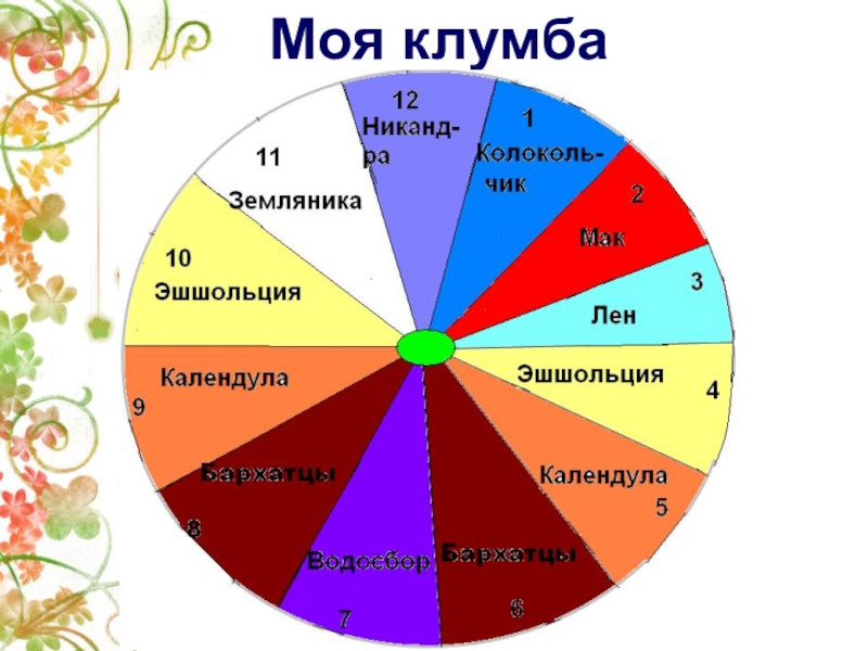 Цветочные часы проект