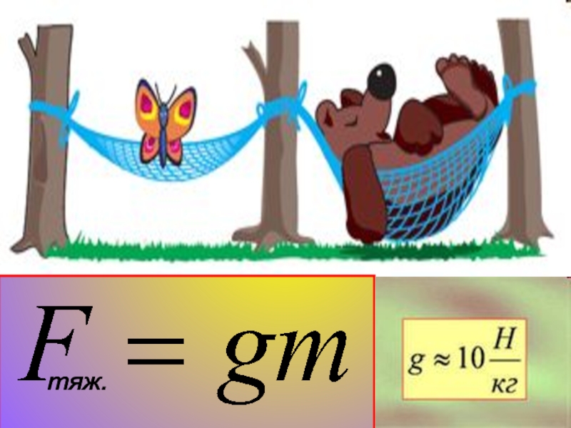 Рисунок физика вес тела