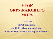 Урок окружающего мира Все профессии важны
