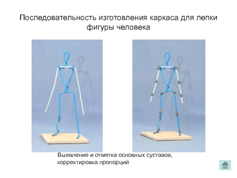 Знакомство С Каркасом Выполнение Пластилиновой Модели Человека