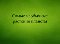 Презентация по биологии на тему Необычные растения планеты (6 класс)