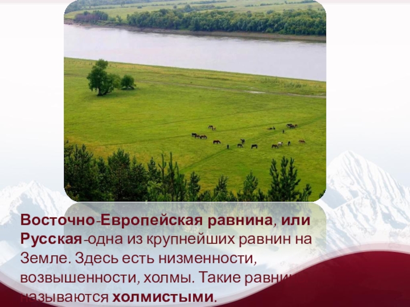 1 из крупнейших. Восточно-европейская равнина Холмистая. Одна из крупнейших равнин. Равнина одна из крупнейших на земле. Русская или Восточно-европейская равнина почвы.