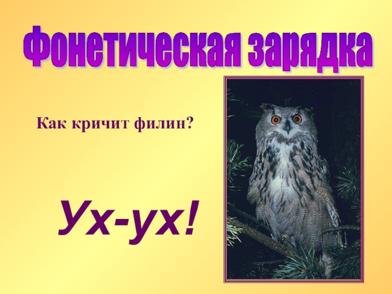 Крик филина. Как кричит сова. Голос совы. Упоротый филин. Сова удивлена.