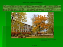 Презентация по биологии по теме Осенние явления в жизни растений (6 класс)