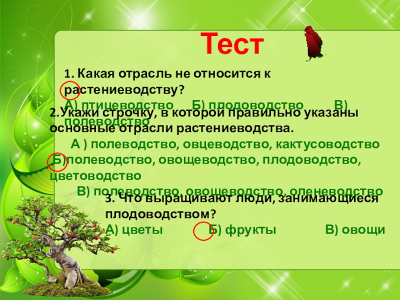 Тест растениеводство 3 класс школа россии презентация