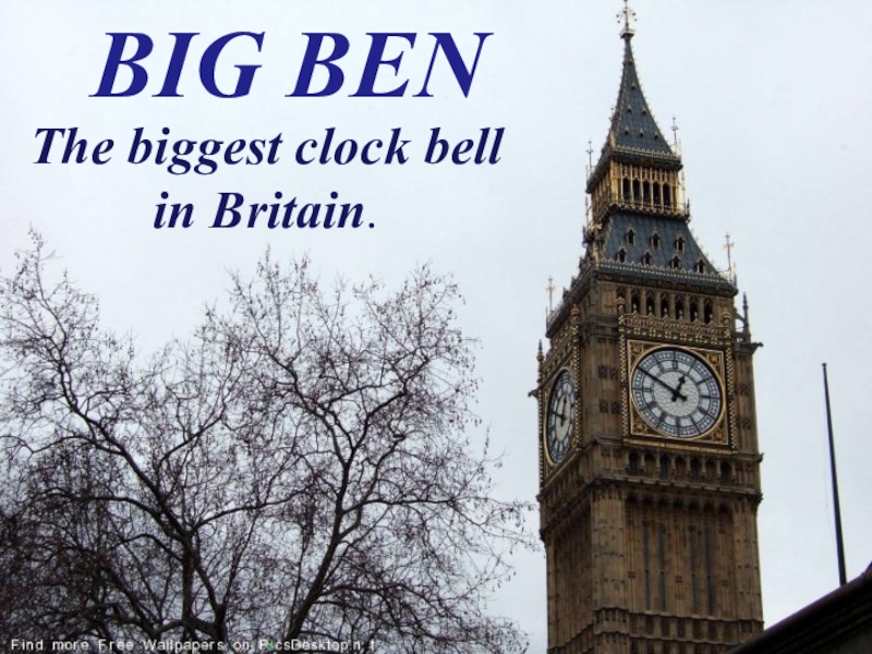 In which City is the biggest Clock situated.