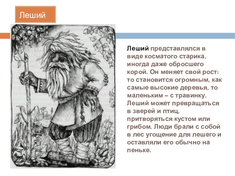 Имя лешего. Леший иллюстрации. Леший описание внешности. Описание лешего кратко. Описание лешего в славянской мифологии.