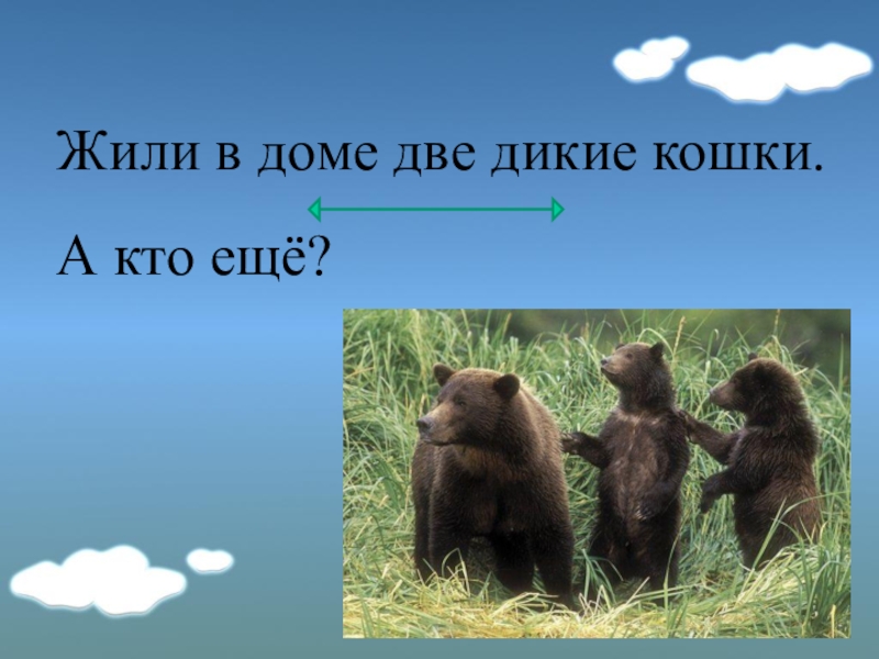 Два диком. В Лесной чаще стоял домик жили в этом доме две Дикие кошки ответ. Мы с тобой две Дикие кошки песня.