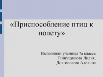 Презентация по биологии на тему Приспособленность птиц к полету (7 класс)