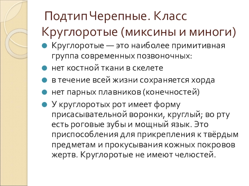  Подтип Черепные. Класс Круглоротые (миксины и миноги)Круглоротые — это наиболее примитивная группа современных позвоночных:нет костной ткани в скелетев