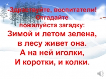 Краткосрочный проект : Зеленая красавица