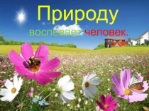 Презентация Природа. Красота времён года