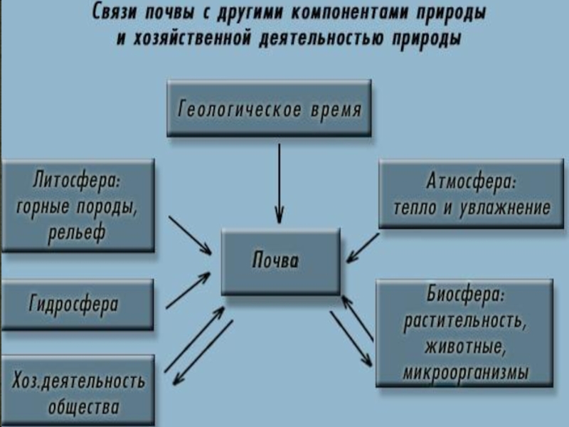 Почва особое природное образование презентация 8 класс пятунин